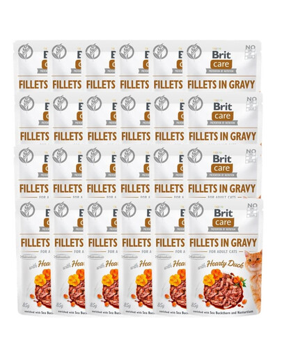 BRIT Care Fillets in Gravy Mix příchutí 48 x 85 g kachní a lososové filety v omáčce pro kočky