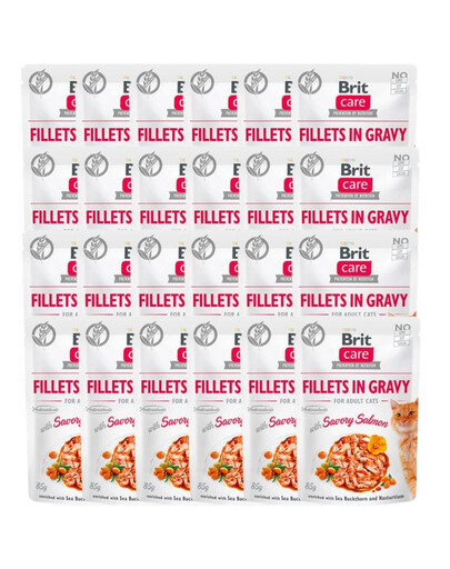 Care Fillets in gravy savory salmon 24 x 85 g filety łososia w sosie