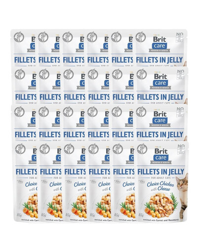 Care Fillets in Jelly Choice Chicken&Cheese 24 x 85 g Kurczak i ser