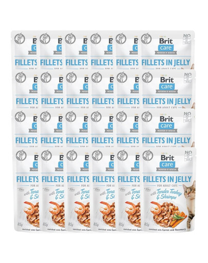 Care Fillets in Jelly indyk i krewetki saszetki dla kota 24 x 85 g