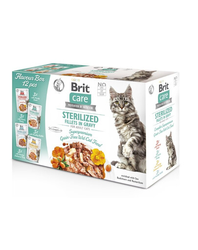 BRIT CARE Fillets in Gravy Box Pouch Sterilized 24x85g pro sterilizované kočky