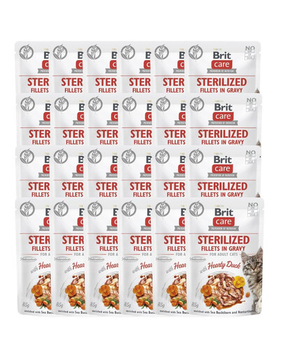 CARE Fillets in Gravy Pouch Sterilized Hearty Duck 24x85g z kaczką dla kotów sterylizowanych