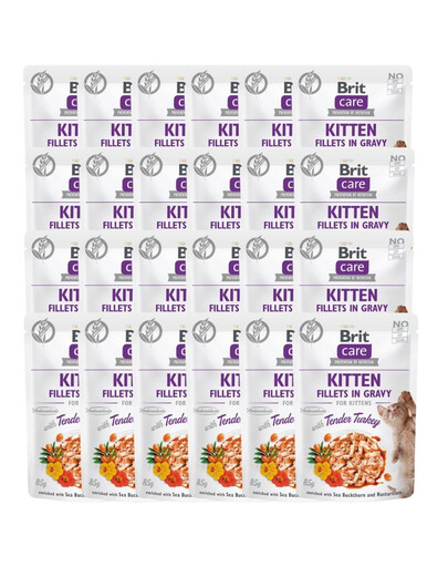 Care Fillets in gravy with tender turkey 24 x 85 g indyk w sosie
