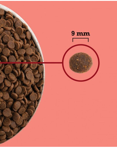 Highest Protein Indoor Cat 1,8 kg