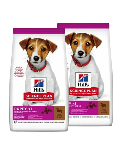 HILL'S Science Plan Puppy Small Mini Lamb and Rice 2x6 kg s jehněčím masem a rýží granule pro štěňata malých plemen