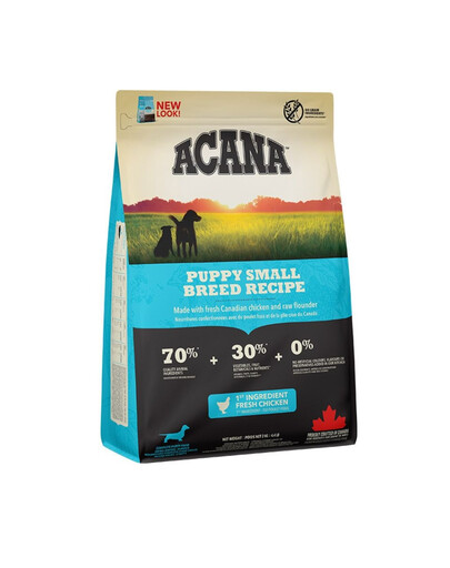 Puppy small breed dog 2 kg