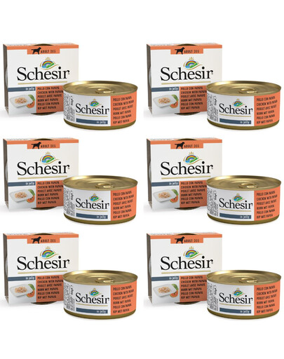 SCHESIR Fruit Kuře s papájou 6x150 g