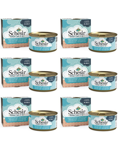 SCHESIR Tuňák s aloe vera pro koťata 6x85g