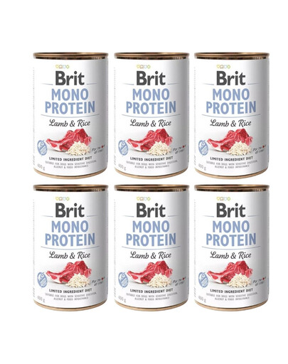 BRIT Mono Protein Lamb & Rice 6x400 g monoproteinové krmivo jehněčí s rýží