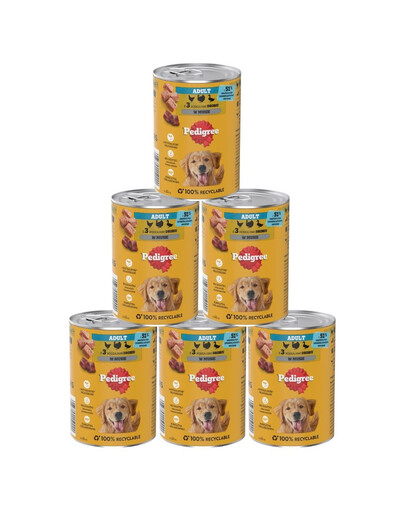 PEDIGREE Adult 6x400 g konzervy pro dospělé psy se 3 druhy drůbeže v paštice