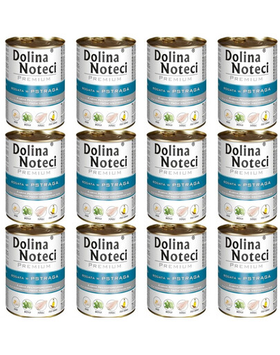 DOLINA NOTECI Premium konzervy pro psy se pstruhem 12x400g