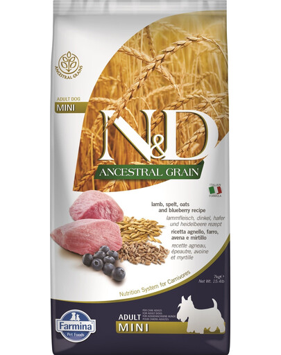 FARMINA N&D Ancestral Grain lamb & blueberry Adult Mini dog 7 kg krmivo pro psy malých plemen + FARMINA N&D Quinoa Dental Treat Flatulence Mini 60 g (7 ks) ZDARMA!