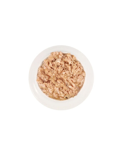 FITMIN Purity Cat Carp 100 g mokra karma z karpiem dla kotów