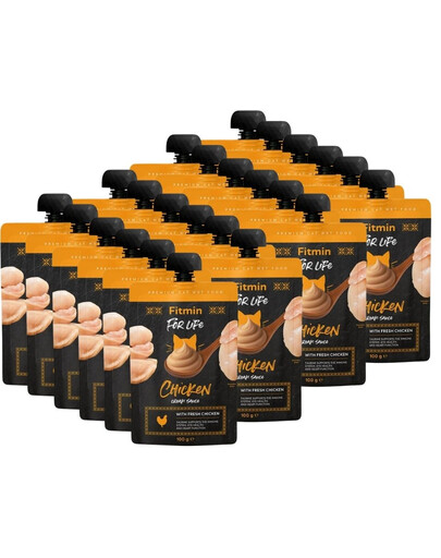 FITMIN For Life Cat Cream Sauce Chicken 24x100g krémové kuřecí sáčky pro kočky