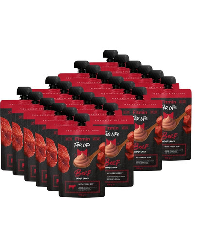FITMIN For Life Cat Cream Sauce Beef 24x100g krémové hovězí sáčky pro kočky