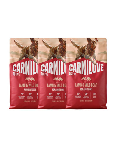 CARNILOVE Active Dog Lamb and Wild Boar Adult 3x4 kg jehněčí a divočák, pro dospělé psy