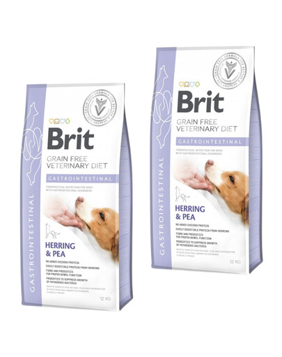 BRIT Veterinary Diets Dog Gastointestinal 2 x 12 kg Bezobilné veterinární krmivo pro dospělé psy