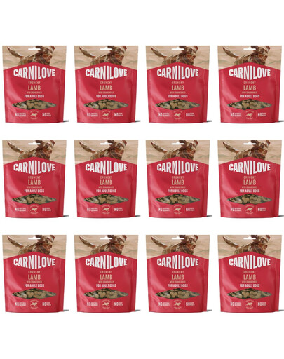 CARNILOVE Dog Crunchy Snack Lamb 12x200g křupavé pamlsky s jehněčím masem a brusinkami pro dospělé psy