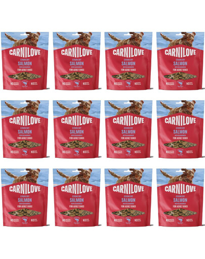 CARNILOVE Dog Crunchy Snack Salmon 12x200g křupavé pamlsky s lososem pro dospělé psy