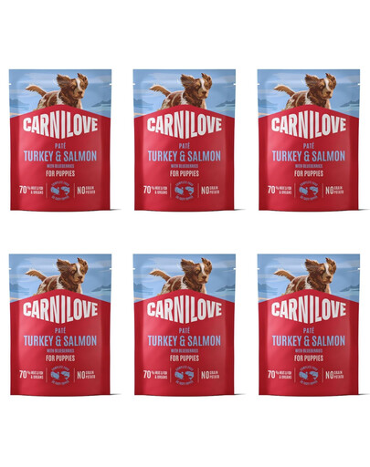 CARNILOVE Dog Pouch Turkey & Salmon Puppies 6x300g mokré krmivo s krůtou a lososem pro štěňata