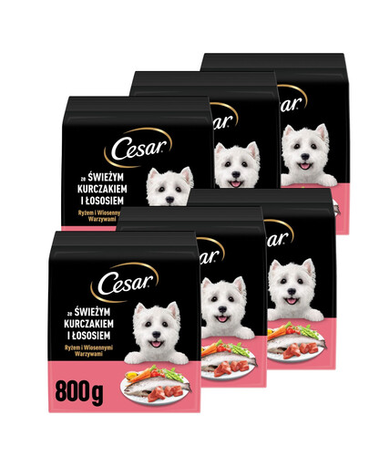 CESAR Adult s kuřetem a lososem 6x800g krmivo pro psy