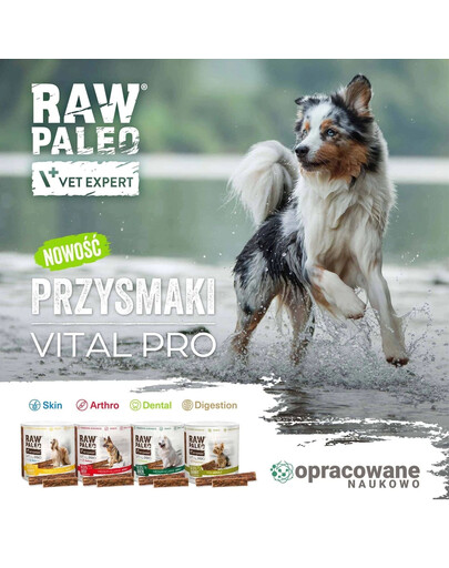 RAW PALEO Vital Pro Digestion Rabbit Mini 100g monoproteinowy przysmak funkcjonalny dla psów