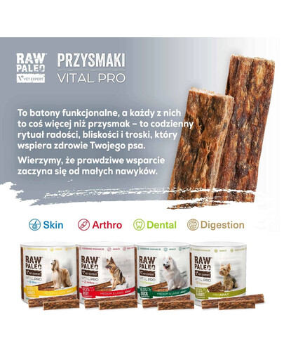 RAW PALEO Vital Pro Arthro Beef Medium Large 100g funkcjonalny przysmak na stawy dla psów ras średnich i dużych