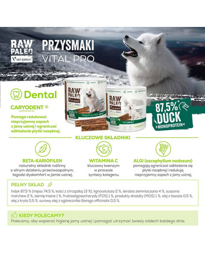 RAW PALEO Vital Pro Dental Duck Mini 100g monoproteinowy przysmak funkcjonalny dla psów