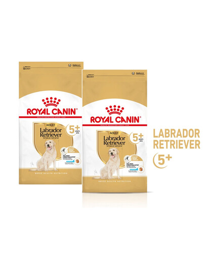 ROYAL CANIN Labrador Retriever Adult 5+ 2x12 kg suché krmivo pro dospělé psy plemene labradorský retrívr starší 5 let