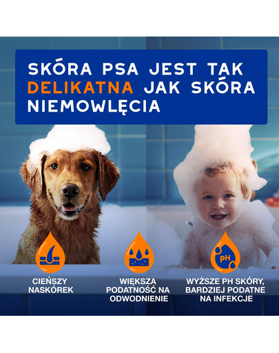 DOUXO Skin & Coat 2in1 Conditioning Shampoo 250 ml szampon z odżywką 2w1 dla psów