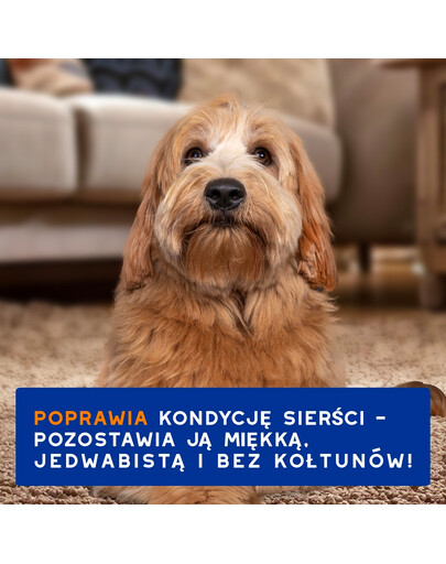 DOUXO Skin & Coat 2in1 Conditioning Shampoo 250 ml szampon z odżywką 2w1 dla psów