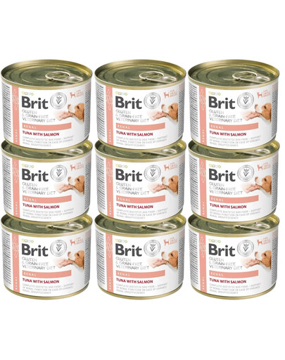 BRIT Veterinary Diet Grain Free Renal 12x200g tuňák a losos pro psy se selháním ledvin