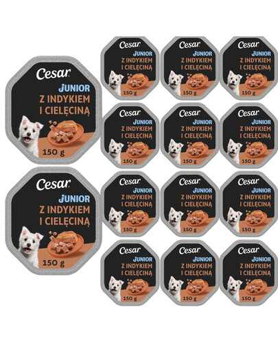 CESAR Junior s krůtou a telecím masem 14x150g krmivo pro štěňata