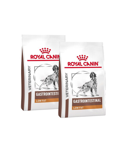 ROYAL CANIN Dog Gastro Intestinal Low Fat 2x12 kg sucha karma o obniżonej zawartości tłuszczu dla psów z zaburzeniami żołądkowo-jelitowymi