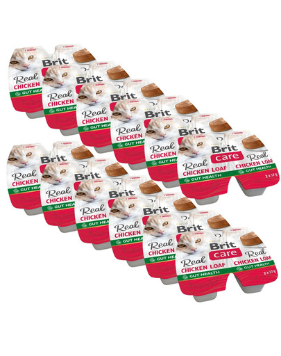 BRIT Care Cat Real Chicken Loaf 24x37g pasztet z kurczaka dla kotów