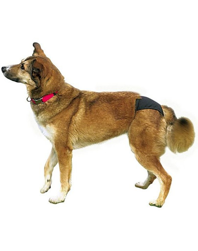 TRIXIE Hárací kalhotky rozměr XL 60–70 cm černý