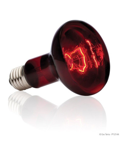 HAGEN Exo Terra żarówka heat glo100 W 80 mm
