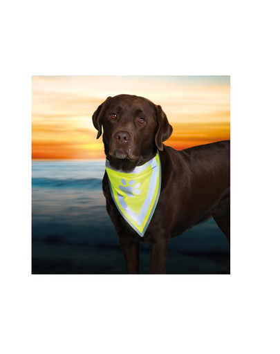 TRIXIE Reflexní šátek pro psa XS - S  22 - 28 cm