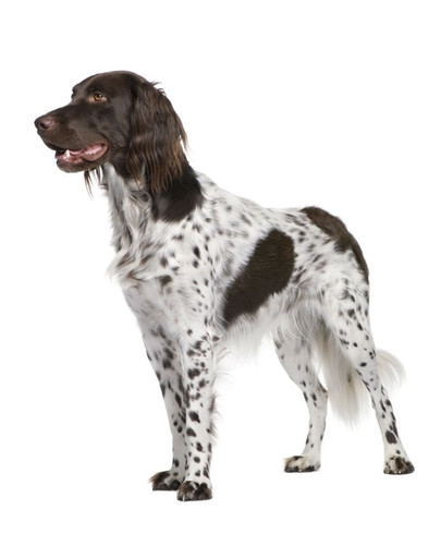 FITMIN Dog solution měkké a šťavnaté - 1.5 kg