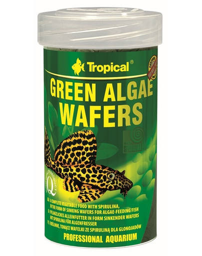 TROPICAL Green algae wafers tuba 250 ml/113g