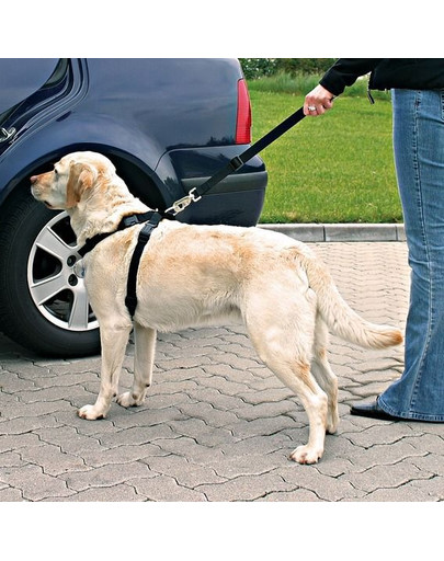 TRIXIE Bezpečnostní pás do auta  pro psa L