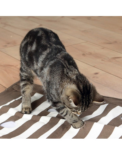 TRIXIE Cat Activity zábavná deka pro kočky 70 × 50 cm