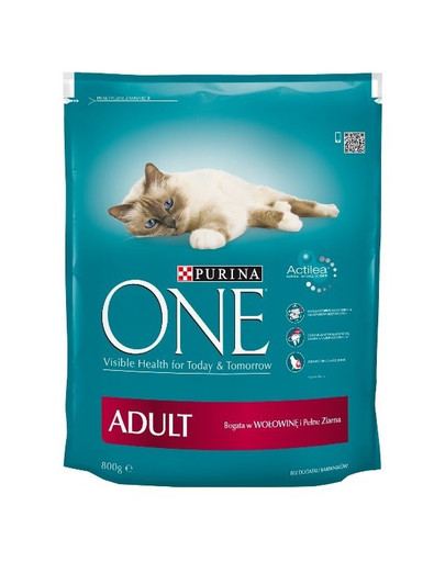 PURINA ONE ADULT wołowina i pełne ziarna 800g