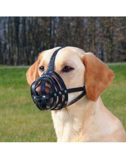 TRIXIE Náhubek kožený Julius-K9 S–M