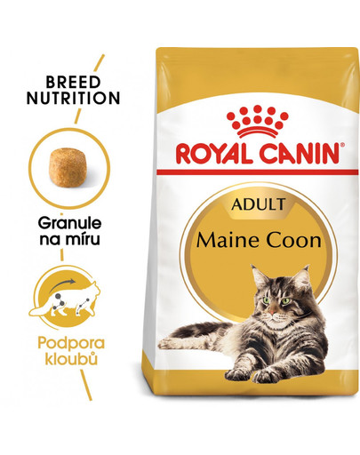 ROYAL CANIN Maine coon 10 kg + 2 kg gratis granule pro mainské mývalí kočky