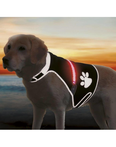 TRIXIE Reflexní vesta Flash USB, L: 60–80 cm