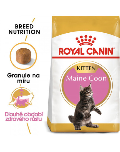 ROYAL CANIN Kitten Maine Coon 4 kg granule pro mainská mývalí koťata