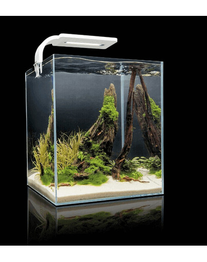 AQUAEL Shrimp Smart akvarijní set 25x25x30 cm, 20 l bílý