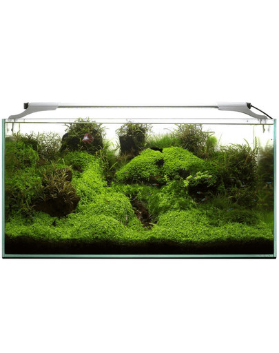 AQUAEL Leddy Slim 32W Plant 80-100 cm