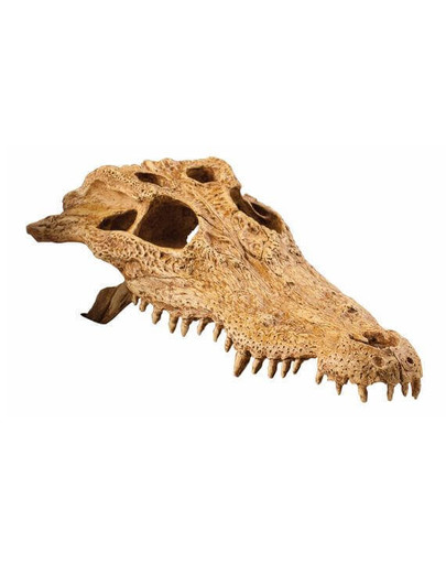 EXOTERRA Úkryt Lebka krokodýla
